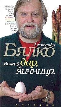 Александр Бялко - Божий дар или яичница - Читать 📖 Читать онлайн 👀 Читаемые книги читать онлайн бесплатно 🔥 booksread-online.com