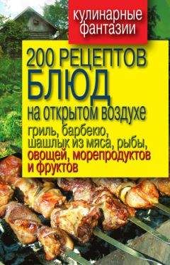 Владимир Водяницкий - 200 рецептов блюд на открытом воздух: гриль, барбекю, шашлык из мяса, рыбы, овощей, морепродуктов и фруктов - Читать 📖 Читать онлайн 👀 Читаемые книги читать онлайн бесплатно 🔥 booksread-online.com