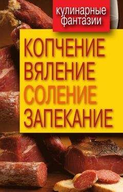 Ольга Бабкова - Копчение, вяление, соление, запекание - Читать | Читать онлайн | Читаемые книги читать онлайн бесплатно | booksread-online.com