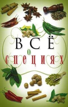 Светлана Хворостухина - Всё о специях - Читать 📖 Читать онлайн 👀 Читаемые книги читать онлайн бесплатно 🔥 booksread-online.com