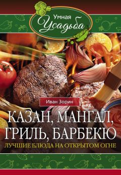 Иван Зорин - Казан, мангал, гриль, барбекю. Лучшие блюда на открытом огне - Читать 📖 Читать онлайн 👀 Читаемые книги читать онлайн бесплатно 🔥 booksread-online.com