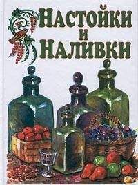 Иван Дубровин - Настойки и наливки - Читать 📖 Читать онлайн 👀 Читаемые книги читать онлайн бесплатно 🔥 booksread-online.com
