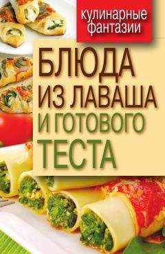 Гера Треер - Блюда из лаваша и готового теста - Читать 📖 Читать онлайн 👀 Читаемые книги читать онлайн бесплатно 🔥 booksread-online.com