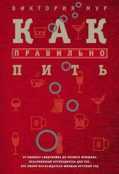 Виктория Мур - Как правильно пить. От зимнего глинтвейна до летнего крюшона. Незаменимый путеводитель для тех, кто любит наслаждаться жизнью круглый год - Читать 📖 Читать онлайн 👀 Читаемые книги читать онлайн бесплатно 🔥 booksread-online.com