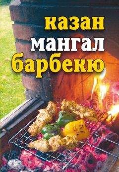 Юлия Бебнева - Казан, мангал, барбекю - Читать | Читать онлайн | Читаемые книги читать онлайн бесплатно | booksread-online.com