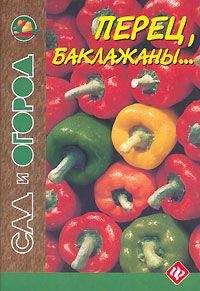 Автор неизвестен - Кулинария - Перец, баклажаны... - Читать 📖 Читать онлайн 👀 Читаемые книги читать онлайн бесплатно 🔥 booksread-online.com