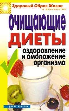 Юлия Бебнева - Очищающие диеты. Оздоровление и омоложение организма - Читать 📖 Читать онлайн 👀 Читаемые книги читать онлайн бесплатно 🔥 booksread-online.com