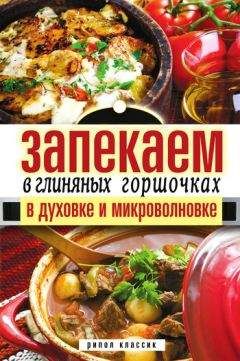 Дарья Нестерова - Запекаем в глиняных горшочках, в духовке и микроволновке - Читать 📖 Читать онлайн 👀 Читаемые книги читать онлайн бесплатно 🔥 booksread-online.com