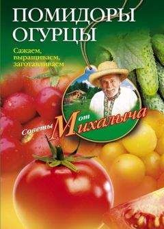 Николай Звонарев - Помидоры, огурцы. Сажаем, выращиваем, заготавливаем - Читать | Читать онлайн | Читаемые книги читать онлайн бесплатно | booksread-online.com
