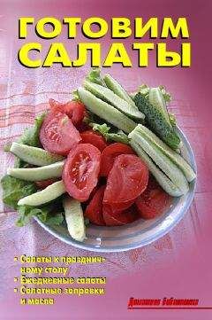 Р. Кожемякин - Готовим салаты - Читать 📖 Читать онлайн 👀 Читаемые книги читать онлайн бесплатно 🔥 booksread-online.com