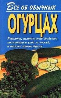 Иван Дубровин - Все об обычных огурцах - Читать 📖 Читать онлайн 👀 Читаемые книги читать онлайн бесплатно 🔥 booksread-online.com