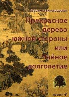 Вероника Виногродская - Прекрасное дерево южной стороны, или Чайное долголетие - Читать 📖 Читать онлайн 👀 Читаемые книги читать онлайн бесплатно 🔥 booksread-online.com