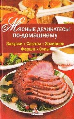Ярослава Васильєва - Мясные деликатесы по-домашнему - Читать | Читать онлайн | Читаемые книги читать онлайн бесплатно | booksread-online.com