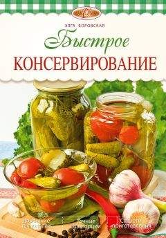 Элга Боровская - Быстрое консервирование - Читать 📖 Читать онлайн 👀 Читаемые книги читать онлайн бесплатно 🔥 booksread-online.com