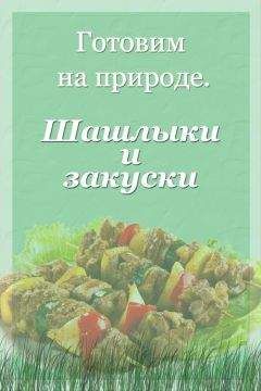 Илья Мельников - Шашлыки и закуски - Читать 📖 Читать онлайн 👀 Читаемые книги читать онлайн бесплатно 🔥 booksread-online.com