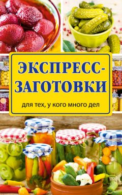 Виктория Рошаль - Экспресс-заготовки - Читать 📖 Читать онлайн 👀 Читаемые книги читать онлайн бесплатно 🔥 booksread-online.com