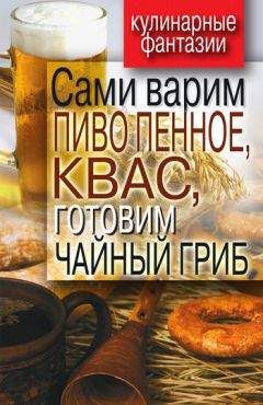 Денис Галимов - Сами варим пиво пенное, квас, готовим чайный гриб - Читать 📖 Читать онлайн 👀 Читаемые книги читать онлайн бесплатно 🔥 booksread-online.com