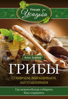Анна Зорина - Грибы. Собираем, выращиваем, заготавливаем - Читать 📖 Читать онлайн 👀 Читаемые книги читать онлайн бесплатно 🔥 booksread-online.com