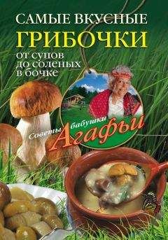 Агафья Звонарева - Самые вкусные грибочки. От супов до соленых в бочке - Читать 📖 Читать онлайн 👀 Читаемые книги читать онлайн бесплатно 🔥 booksread-online.com