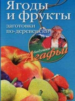 Агафья Звонарева - Ягоды и фрукты. Заготовки по-деревенски - Читать 📖 Читать онлайн 👀 Читаемые книги читать онлайн бесплатно 🔥 booksread-online.com