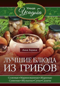 Анна Зорина - Лучшие блюда из грибов - Читать 📖 Читать онлайн 👀 Читаемые книги читать онлайн бесплатно 🔥 booksread-online.com