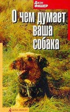 Джон Фишер - О чём думает Ваша собака - Читать 📖 Читать онлайн 👀 Читаемые книги читать онлайн бесплатно 🔥 booksread-online.com