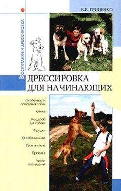 Владимир Гриценко - Дрессировка для начинающих - Читать 📖 Читать онлайн 👀 Читаемые книги читать онлайн бесплатно 🔥 booksread-online.com