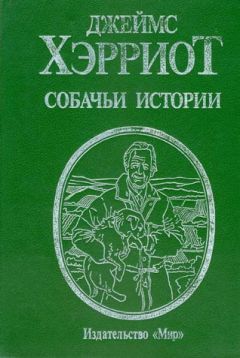 Джеймс Хэрриот - Собачьи истории - Читать 📖 Читать онлайн 👀 Читаемые книги читать онлайн бесплатно 🔥 booksread-online.com