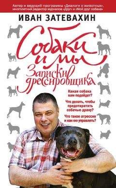 Иван Затевахин - Собаки и мы. Записки дрессировщика - Читать 📖 Читать онлайн 👀 Читаемые книги читать онлайн бесплатно 🔥 booksread-online.com