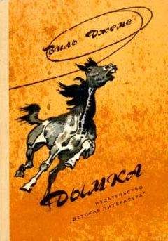 Виль Джемс - Дымка - Читать 📖 Читать онлайн 👀 Читаемые книги читать онлайн бесплатно 🔥 booksread-online.com