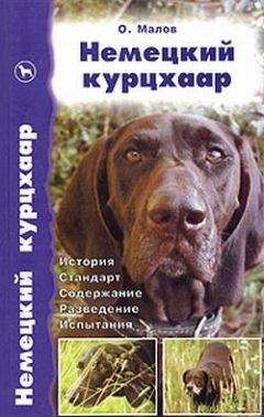 Олег Малов - Немецкий курцхаар от А до Я - Читать 📖 Читать онлайн 👀 Читаемые книги читать онлайн бесплатно 🔥 booksread-online.com