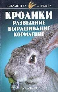 С. Александров - Кролики: Разведение, выращивание, кормление - Читать 📖 Читать онлайн 👀 Читаемые книги читать онлайн бесплатно 🔥 booksread-online.com