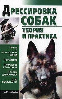 Елена Гурнакова - Дрессировка собак. Теория и практика - Читать 📖 Читать онлайн 👀 Читаемые книги читать онлайн бесплатно 🔥 booksread-online.com