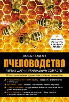 Василий Королев - Пчеловодство: первые шаги к прибыльному хозяйству - Читать 📖 Читать онлайн 👀 Читаемые книги читать онлайн бесплатно 🔥 booksread-online.com