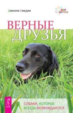 Дженни Смедли - Верные друзья. Собаки, которые всегда возвращаются - Читать 📖 Читать онлайн 👀 Читаемые книги читать онлайн бесплатно 🔥 booksread-online.com
