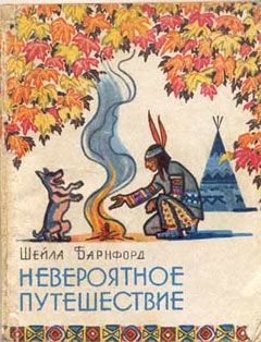 Шейла Барнфорд - Невероятное путешествие - Читать 📖 Читать онлайн 👀 Читаемые книги читать онлайн бесплатно 🔥 booksread-online.com