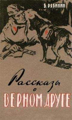 Борис Рябинин - Рассказы о верном друге - Читать 📖 Читать онлайн 👀 Читаемые книги читать онлайн бесплатно 🔥 booksread-online.com
