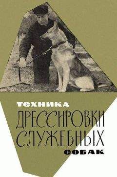 Николай Сахаров - Техника дрессировки служебных собак - Читать 📖 Читать онлайн 👀 Читаемые книги читать онлайн бесплатно 🔥 booksread-online.com