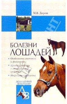 Мария Дорош - Болезни лошадей - Читать 📖 Читать онлайн 👀 Читаемые книги читать онлайн бесплатно 🔥 booksread-online.com