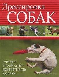 Л. Орлова - Дрессировка собак. Учимся правильно воспитывать собаку - Читать 📖 Читать онлайн 👀 Читаемые книги читать онлайн бесплатно 🔥 booksread-online.com