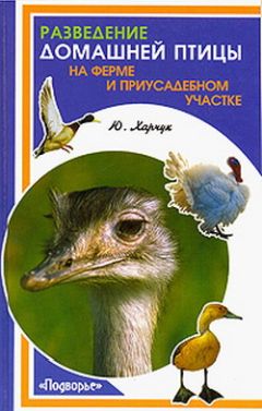 Юрий Харчук - Разведение домашней птицы на ферме и приусадебном участке - Читать 📖 Читать онлайн 👀 Читаемые книги читать онлайн бесплатно 🔥 booksread-online.com