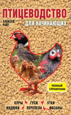 Алексей Райт - Птицеводство для начинающих. Полный справочник - Читать | Читать онлайн | Читаемые книги читать онлайн бесплатно | booksread-online.com