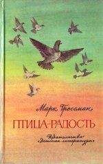 Марк Гроссман - Птица-Радость. Рассказы о голубиной охоте. - Читать 📖 Читать онлайн 👀 Читаемые книги читать онлайн бесплатно 🔥 booksread-online.com