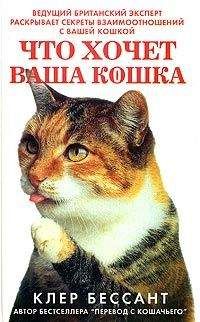 Клер Бессант - Что хочет ваша кошка: Научитесь понимать вашу кошку - Читать 📖 Читать онлайн 👀 Читаемые книги читать онлайн бесплатно 🔥 booksread-online.com