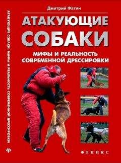 Дмитрий Фатин - Атакующие собаки. Мифы и реальность современной дрессировки - Читать | Читать онлайн | Читаемые книги читать онлайн бесплатно | booksread-online.com