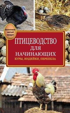 Эдуард Бондарев - Птицеводство для начинающих - Читать | Читать онлайн | Читаемые книги читать онлайн бесплатно | booksread-online.com