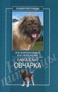 Марина Куропаткина - Кавказская овчарка - Читать 📖 Читать онлайн 👀 Читаемые книги читать онлайн бесплатно 🔥 booksread-online.com
