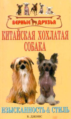 Бренда Джонс - Китайская хохлатая собака. Изысканность и стиль - Читать 📖 Читать онлайн 👀 Читаемые книги читать онлайн бесплатно 🔥 booksread-online.com