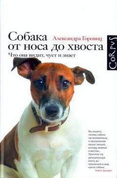 Александра Горовиц - Собака от носа до хвоста. Что она видит, чует и знает - Читать 📖 Читать онлайн 👀 Читаемые книги читать онлайн бесплатно 🔥 booksread-online.com