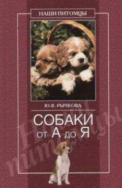 Юлия Рычкова - Собаки от А до Я - Читать 📖 Читать онлайн 👀 Читаемые книги читать онлайн бесплатно 🔥 booksread-online.com